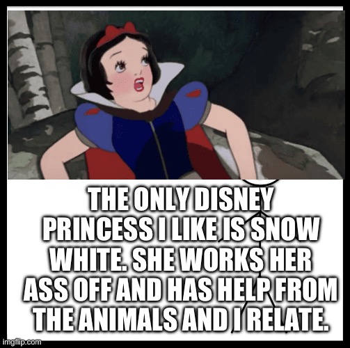 Snow White | THE ONLY DISNEY PRINCESS I LIKE IS SNOW WHITE. SHE WORKS HER ASS OFF AND HAS HELP FROM THE ANIMALS AND I RELATE. | image tagged in memes | made w/ Imgflip meme maker