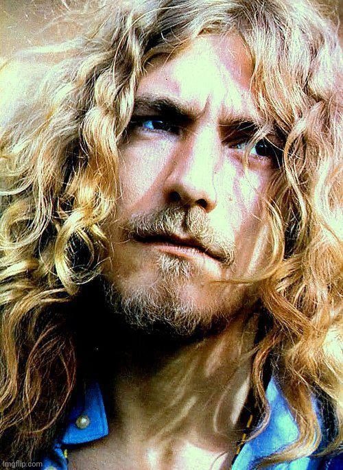 robert plant 3 | image tagged in robert plant 3 | made w/ Imgflip meme maker