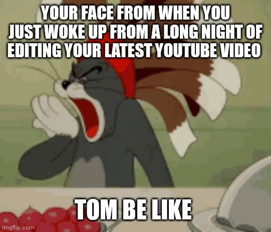 Relatable Tom and Jerry memes. When you just wake up or when you're tired from editing | YOUR FACE FROM WHEN YOU JUST WOKE UP FROM A LONG NIGHT OF EDITING YOUR LATEST YOUTUBE VIDEO; TOM BE LIKE | image tagged in funny memes,tom and jerry,cartoon memes,relatable memes | made w/ Imgflip meme maker