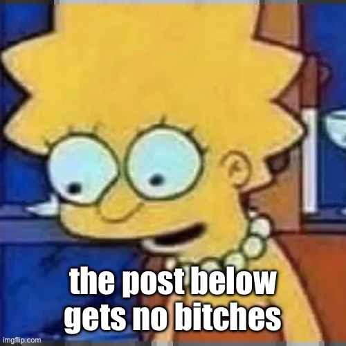 The post below gets no bitches | image tagged in the post below gets no bitches | made w/ Imgflip meme maker