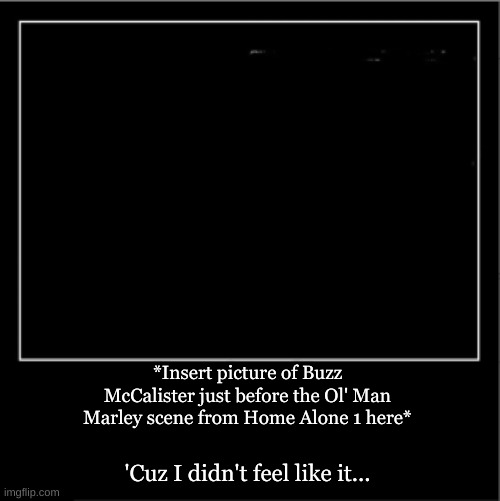 Demotivational poster | *Insert picture of Buzz McCalister just before the Ol' Man Marley scene from Home Alone 1 here* 'Cuz I didn't feel like it... | image tagged in demotivational poster | made w/ Imgflip meme maker