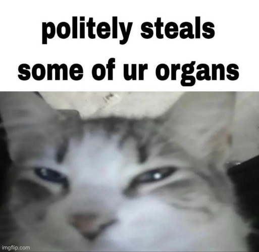 last post was just to where the stream didnt die | made w/ Imgflip meme maker