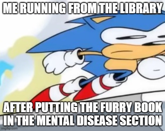 I HATE FURRIES | ME RUNNING FROM THE LIBRARY; AFTER PUTTING THE FURRY BOOK IN THE MENTAL DISEASE SECTION | image tagged in sonic running away | made w/ Imgflip meme maker