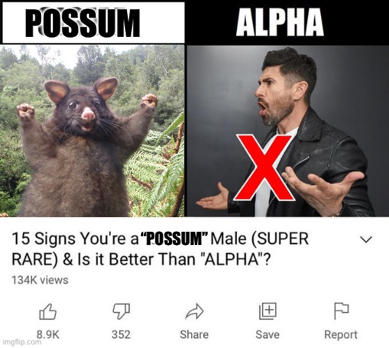 Are you a Possum Male? | POSSUM; “POSSUM” | image tagged in 15 signs your a,possum,cute animals,animal meme,funny animal meme | made w/ Imgflip meme maker