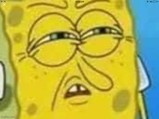 SpongeBob Angry and Confused | image tagged in spongebob angry and confused | made w/ Imgflip meme maker