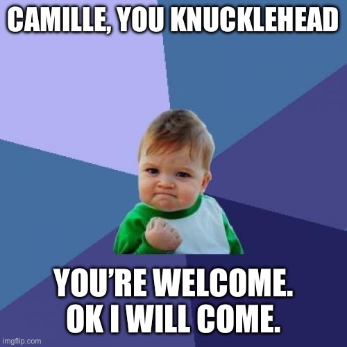 This is very big piece of crap of this mene | CAMILLE, YOU KNUCKLEHEAD; YOU’RE WELCOME. OK I WILL COME. | image tagged in memes,success kid | made w/ Imgflip meme maker