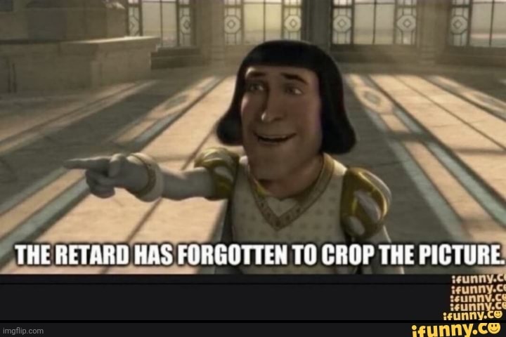 i forgor to crop it | image tagged in funny,memes,shrek,ifunny | made w/ Imgflip meme maker