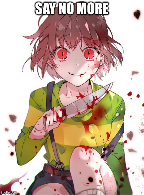 Undertale Chara | SAY NO MORE | image tagged in undertale chara | made w/ Imgflip meme maker