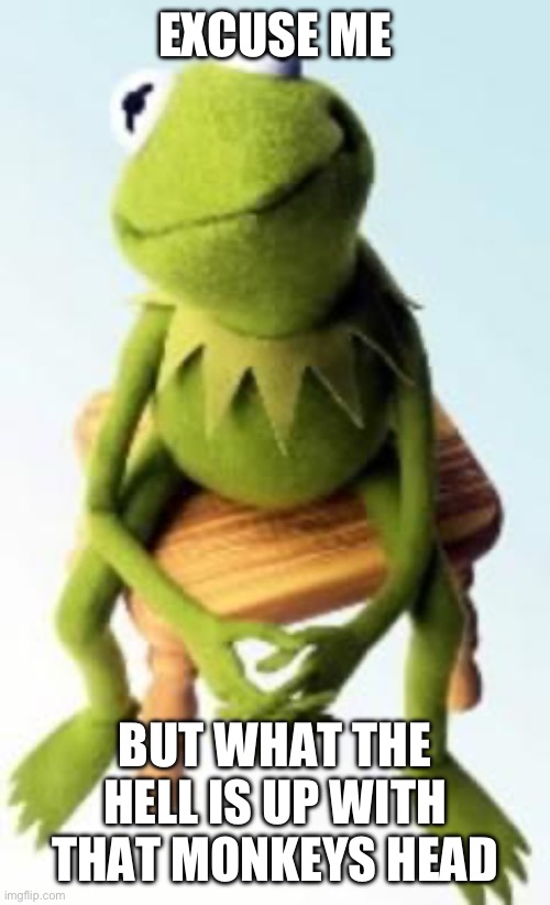 Concerned Kermit | EXCUSE ME BUT WHAT THE HELL IS UP WITH THAT MONKEYS HEAD | image tagged in concerned kermit | made w/ Imgflip meme maker