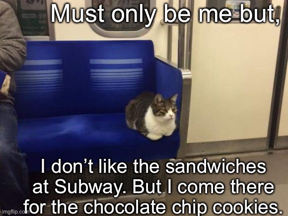 The cookies are the price of standing there | Must only be me but, I don’t like the sandwiches at Subway. But I come there for the chocolate chip cookies. | image tagged in subway cat | made w/ Imgflip meme maker