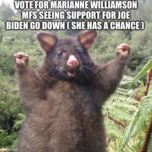 Marianne Williamson Seems like a better candidate than Joe Biden | VOTE FOR MARIANNE WILLIAMSON MFS SEEING SUPPORT FOR JOE BIDEN GO DOWN ( SHE HAS A CHANCE ) | image tagged in possum,political meme,joe biden,marianne williamson,cute animals,funny animal meme | made w/ Imgflip meme maker