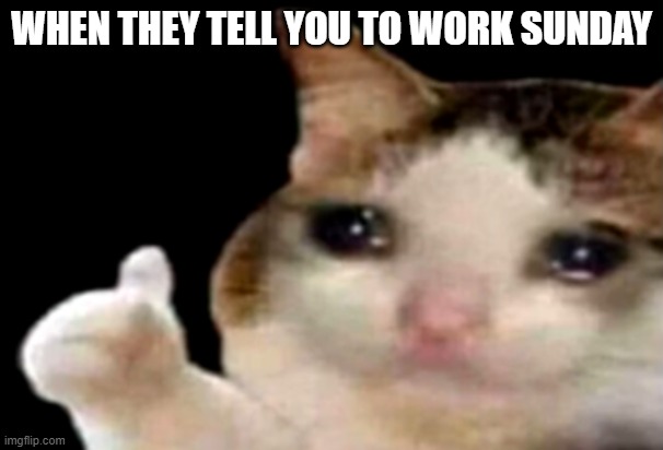 Sad cat thumbs up | WHEN THEY TELL YOU TO WORK SUNDAY | image tagged in sad cat thumbs up | made w/ Imgflip meme maker