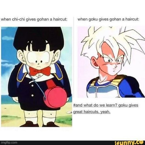 true. | image tagged in dragon ball,dbz | made w/ Imgflip meme maker