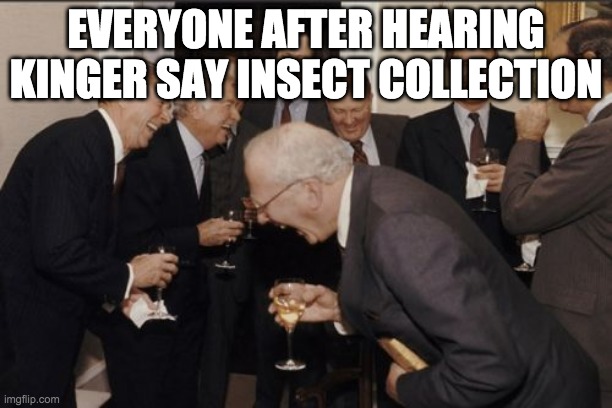 Laughing Men In Suits | EVERYONE AFTER HEARING KINGER SAY INSECT COLLECTION | image tagged in memes,laughing men in suits | made w/ Imgflip meme maker