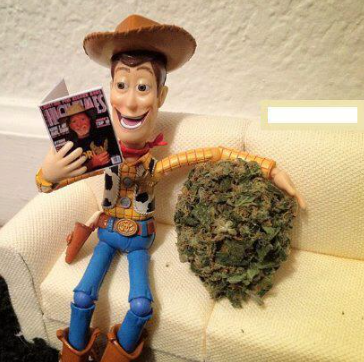 woody with weed Blank Meme Template