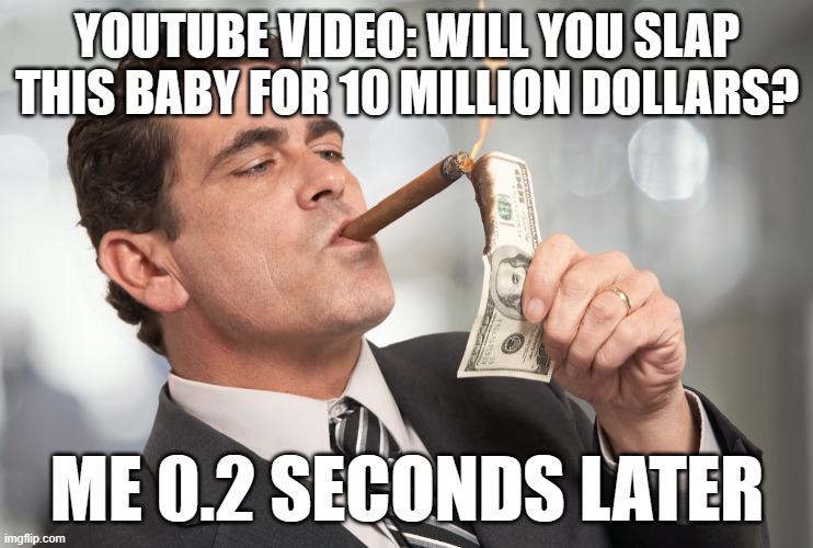 YOUTUBE VIDEO: WILL YOU SLAP THIS BABY FOR 10 MILLION DOLLARS? ME 0.2 SECONDS LATER | image tagged in rich people | made w/ Imgflip meme maker