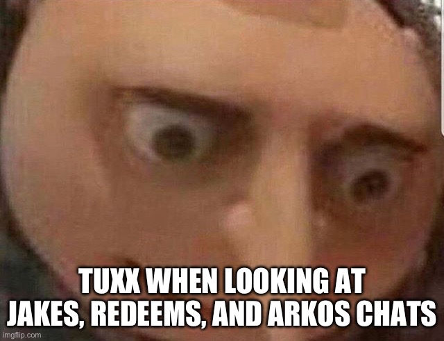 Nervous Gru | TUXX WHEN LOOKING AT JAKES, REDEEMS, AND ARKOS CHATS | image tagged in nervous gru | made w/ Imgflip meme maker