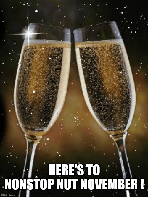 champagne toast | HERE'S TO NONSTOP NUT NOVEMBER ! | image tagged in champagne toast | made w/ Imgflip meme maker