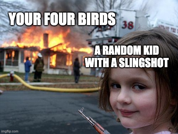 Disaster Girl Meme | YOUR FOUR BIRDS A RANDOM KID WITH A SLINGSHOT | image tagged in memes,disaster girl | made w/ Imgflip meme maker