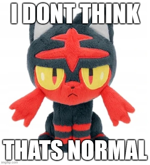 funny cat really funny makes me laugh haha | I DONT THINK; THATS NORMAL | image tagged in pokemon,litten | made w/ Imgflip meme maker