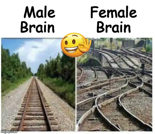The Simple Truth | Male
Brain; Female 
Brain | image tagged in fun,male,female,brains,different,lol | made w/ Imgflip meme maker
