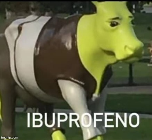 Ibuprofeno | image tagged in shitpost | made w/ Imgflip meme maker