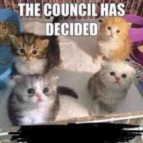 the council has decided | image tagged in the council has decided | made w/ Imgflip meme maker