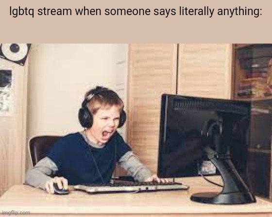 kid screaming at computer | lgbtq stream when someone says literally anything: | image tagged in kid screaming at computer | made w/ Imgflip meme maker