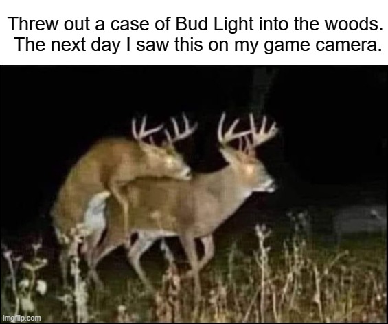 Bud Light | Threw out a case of Bud Light into the woods.
 The next day I saw this on my game camera. | image tagged in bud light | made w/ Imgflip meme maker