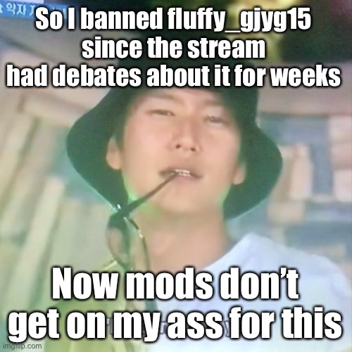 It feels fair after they banned apefan tbh | So I banned fluffy_gjyg15 since the stream had debates about it for weeks; Now mods don’t get on my ass for this | image tagged in i m high number 3 | made w/ Imgflip meme maker