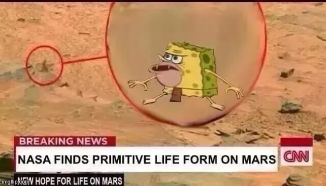 Spongegar | image tagged in spongegar | made w/ Imgflip meme maker