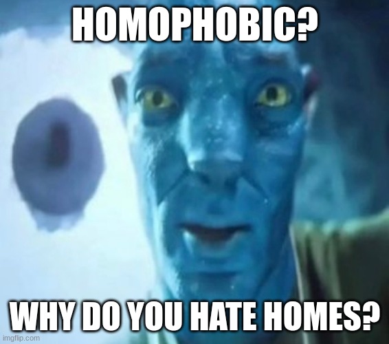 Homophobic=Hates homes | HOMOPHOBIC? WHY DO YOU HATE HOMES? | image tagged in avatar guy,memes,funny | made w/ Imgflip meme maker