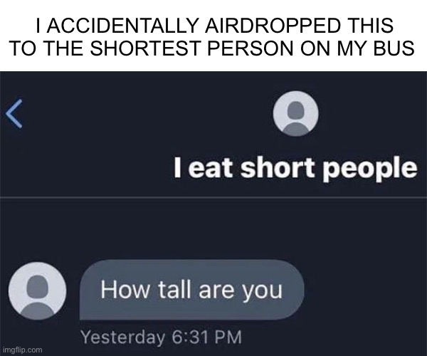 Luckily she declined it | I ACCIDENTALLY AIRDROPPED THIS TO THE SHORTEST PERSON ON MY BUS | image tagged in airdrop,short,short people | made w/ Imgflip meme maker