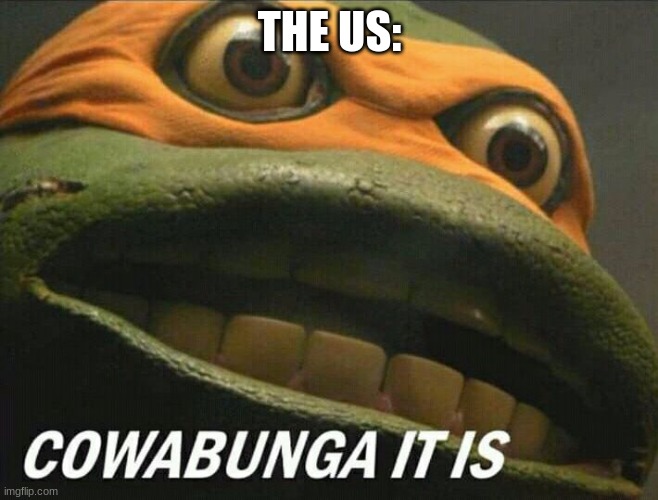 Cowabunga it is | THE US: | image tagged in cowabunga it is | made w/ Imgflip meme maker