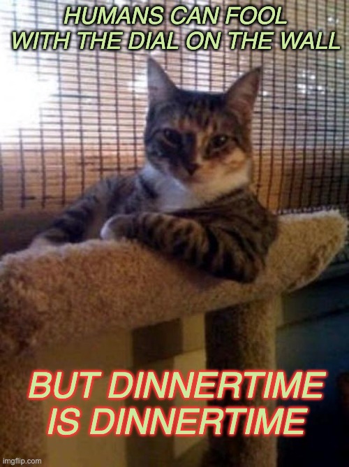 Cat thoughts on Time Change | HUMANS CAN FOOL WITH THE DIAL ON THE WALL; BUT DINNERTIME
IS DINNERTIME | image tagged in the most interesting cat in the world,time change,food,cats | made w/ Imgflip meme maker