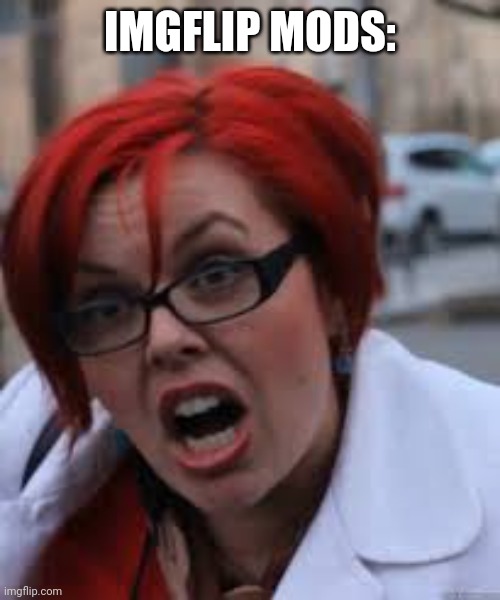 SJW Triggered | IMGFLIP MODS: | image tagged in sjw triggered | made w/ Imgflip meme maker