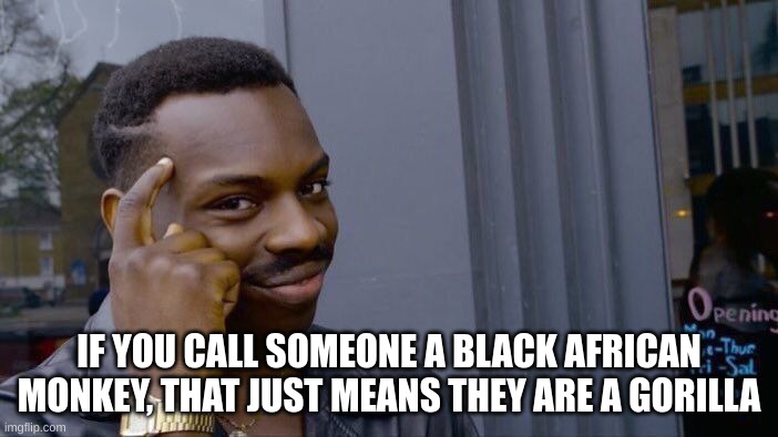 I mean, it's not not true. | IF YOU CALL SOMEONE A BLACK AFRICAN MONKEY, THAT JUST MEANS THEY ARE A GORILLA | image tagged in memes,roll safe think about it,funny | made w/ Imgflip meme maker