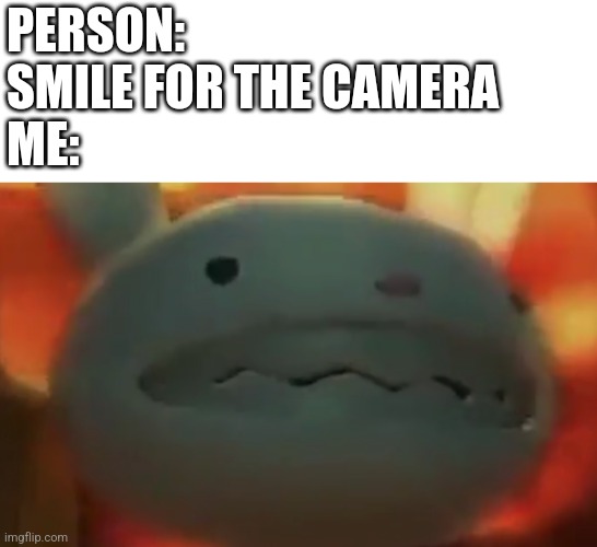 Eeeehhhh ??? | PERSON: SMILE FOR THE CAMERA
ME: | image tagged in creepy smile,weird stuff | made w/ Imgflip meme maker