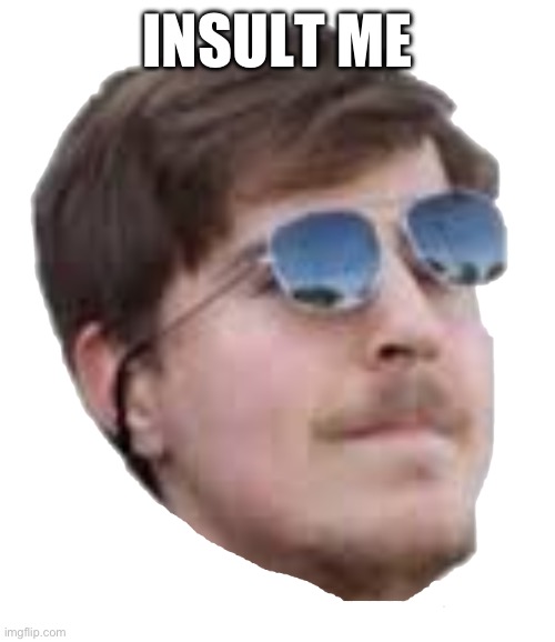 Mr. Beast | INSULT ME | image tagged in mr beast | made w/ Imgflip meme maker