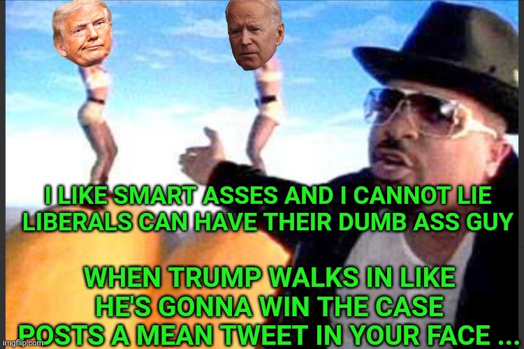 I like big butts and I can not lie  | WHEN TRUMP WALKS IN LIKE HE'S GONNA WIN THE CASE
POSTS A MEAN TWEET IN YOUR FACE ... I LIKE SMART ASSES AND I CANNOT LIE

LIBERALS CAN HAVE  | image tagged in i like big butts and i can not lie | made w/ Imgflip meme maker