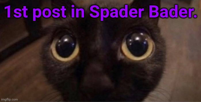 Skrunkly | 1st post in Spader Bader. | image tagged in skrunkly | made w/ Imgflip meme maker
