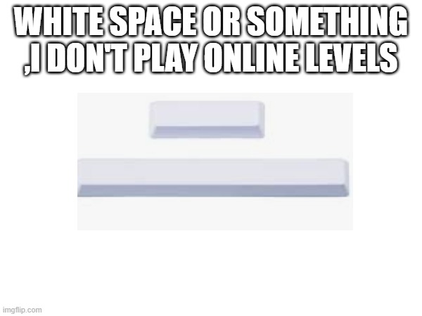 WHITE SPACE OR SOMETHING ,I DON'T PLAY ONLINE LEVELS | made w/ Imgflip meme maker