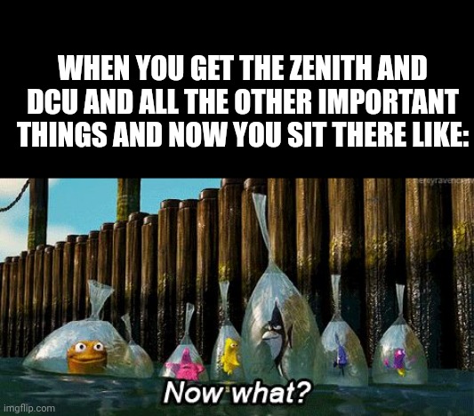 It's sad | WHEN YOU GET THE ZENITH AND DCU AND ALL THE OTHER IMPORTANT THINGS AND NOW YOU SIT THERE LIKE: | image tagged in now what | made w/ Imgflip meme maker