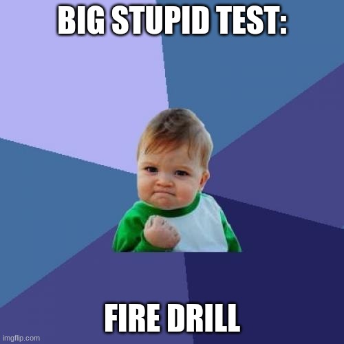 you gotta love 'em | BIG STUPID TEST:; FIRE DRILL | image tagged in memes,success kid,school,funny memes | made w/ Imgflip meme maker