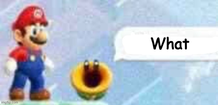 Mario talking flower | What | image tagged in mario talking flower | made w/ Imgflip meme maker