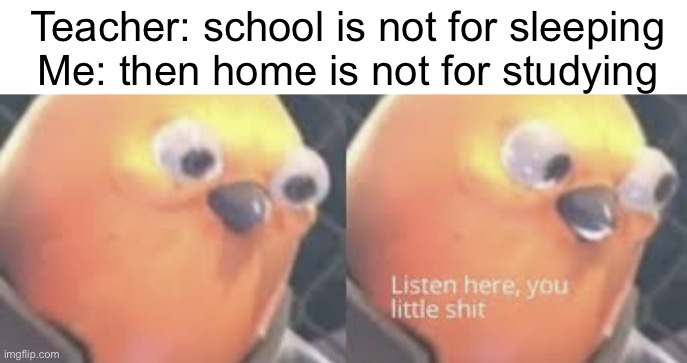 am I wrong? | Teacher: school is not for sleeping
Me: then home is not for studying | image tagged in listen here you little shit bird,funny,teacher,school,memes | made w/ Imgflip meme maker