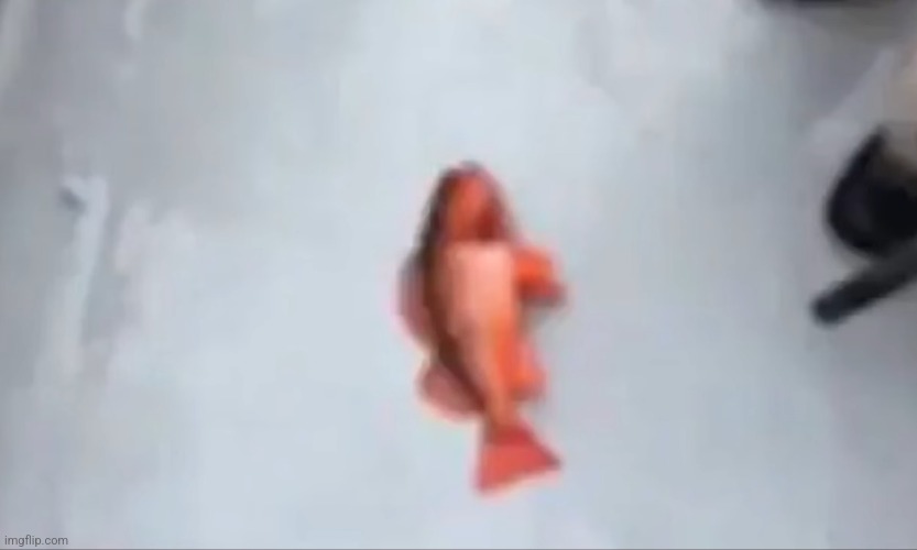 Fibsh | made w/ Imgflip meme maker