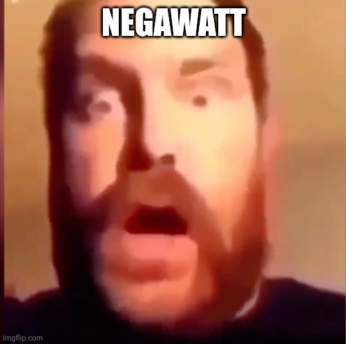 negawatt | NEGAWATT | image tagged in negawatt | made w/ Imgflip meme maker