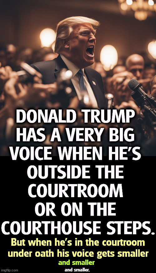 DONALD TRUMP 
HAS A VERY BIG 
VOICE WHEN HE'S 
OUTSIDE THE 
COURTROOM 
OR ON THE 
COURTHOUSE STEPS. But when he's in the courtroom under oath his voice gets smaller; and smaller; and smaller. | image tagged in trump,big mouth,voice,outside,courtroom,lawsuit | made w/ Imgflip meme maker