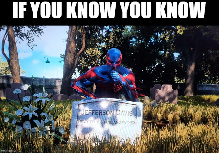 IF YOU KNOW YOU KNOW | image tagged in spiderman | made w/ Imgflip meme maker